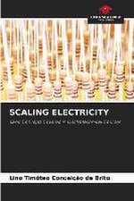 SCALING ELECTRICITY