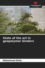 State of the art in geopolymer binders