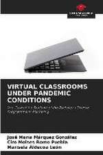 VIRTUAL CLASSROOMS UNDER PANDEMIC CONDITIONS