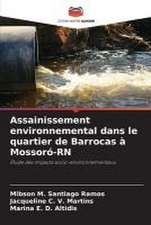 Assainissement environnemental dans le quartier de Barrocas à Mossoró-RN