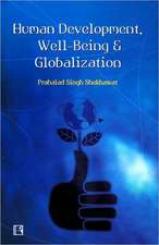 Human Development, Well-Being and Globalisation: Alternative Perspectives