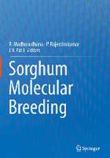 Sorghum Molecular Breeding