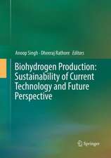 Biohydrogen Production: Sustainability of Current Technology and Future Perspective