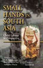 Small Hands in South Asia: Child Labour in Perspective