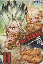 Dr. Stone