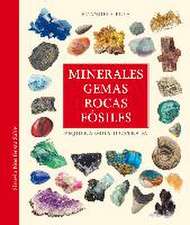 Minerales, gemas, rocas y fosiles:pequeña guia ilustrada