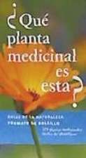 ¿Qué planta medicinal es esta?