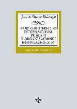 Curso de Derecho Internacional Público y de Organizaciones Internacionales