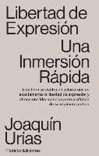 Libertad de expresión. Una inmersión rápida