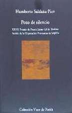 Pozo de silencio