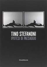 Tino Stefanoni. Ipotesi di paesaggio. Catalogo della mostra