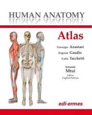 Human Anatomy Atlas