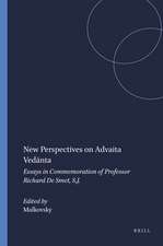 New Perspectives on Advaita Vedānta