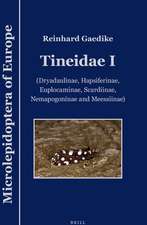 Tineidae I