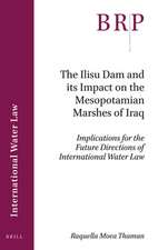 The Ilisu Dam and its Impact on the Mesopotamian Marshes of Iraq: Implications for the Future Directions of International Water Law