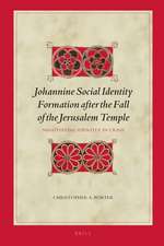 Johannine Social Identity Formation after the Fall of the Jerusalem Temple