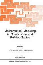 Mathematical Modeling in Combustion and Related Topics