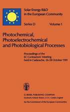 Photochemical, Photoelectrochemical and Photobiological Processes, Vol.1