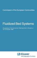 Fluidized Bed Systems