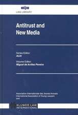 Antitrust and New Media