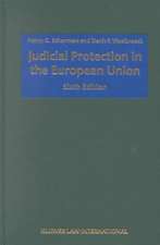 Judicial Protection in the European Union: Sixth Edition