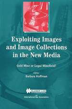 Exploiting Images and Image Collections in the New Media