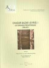 Chagar Bazar (Syrie) I: Les Sondages Prehistoriques (1999-2001)