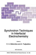 Synchrotron Techniques in Interfacial Electrochemistry