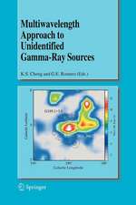 Multiwavelength Approach to Unidentified Gamma-Ray Sources: A Second Workshop on the Nature of the High-Energy Unidentified Sources