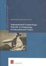 Supranational Criminology