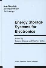 Energy Storage Systems in Electronics