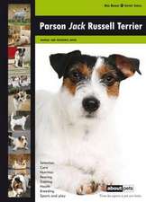 Parson Jack Russell Terrier