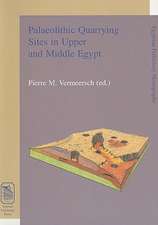 Palaeolithic Quarrying Sites in Upper and Middle Egypt