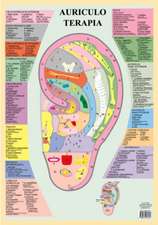 Auriculo Terapia -- A2