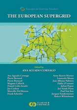 European Energy Studies Volume VII: The European Supergrid