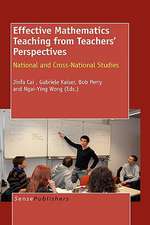 Effective Mathematics Teaching from Teachers' Perspectives