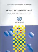 Model Law On Competition: Substantive Possible Elements for a Competition Law: Commentaries and Alternative Approaches in Existing Legislations