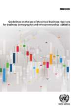 Guidelines on the Use of Statistical Business Registers for Business Demography and Entrepreneurship Statistics