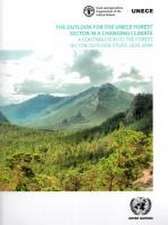 The Outlook for the Unece Forest Sector in a Changing Climate