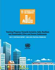 Sdg 11 Synthesis Report 2018