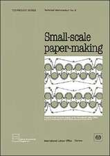 Small-Scale Paper-Making (Technology Series. Technical Memorandum No. 8)