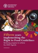 Fifteen Years Implementing the Right to Food Guidelines