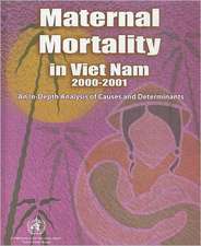 Maternal Mortality in Vietnam 2000-2001: An In-Depth Analysis of Causes and Determinants