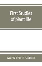 First studies of plant life