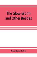 The Glow-Worm and Other Beetles