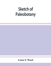 Sketch of paleobotany