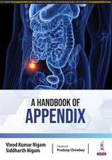 A Handbook of Appendix