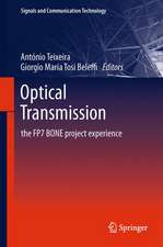 Optical Transmission: The FP7 BONE Project Experience