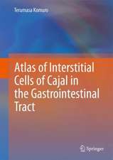 Atlas of Interstitial Cells of Cajal in the Gastrointestinal Tract