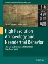 High Resolution Archaeology and Neanderthal Behavior: Time and Space in Level J of Abric Romaní (Capellades, Spain)